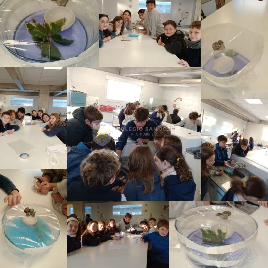 Nos transformamos en científicos